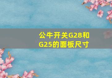 公牛开关G28和G25的面板尺寸