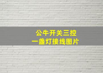 公牛开关三控一盏灯接线图片