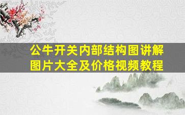 公牛开关内部结构图讲解图片大全及价格视频教程