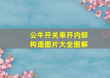 公牛开关单开内部构造图片大全图解