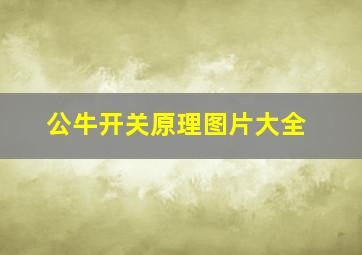 公牛开关原理图片大全