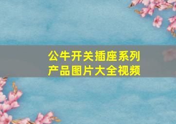 公牛开关插座系列产品图片大全视频