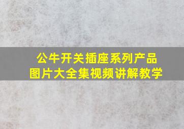 公牛开关插座系列产品图片大全集视频讲解教学