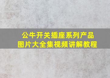 公牛开关插座系列产品图片大全集视频讲解教程