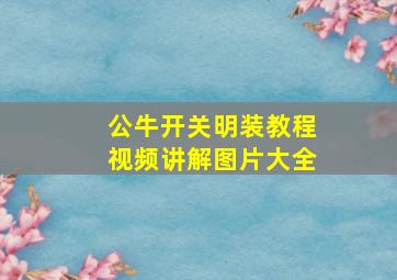 公牛开关明装教程视频讲解图片大全