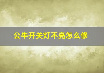 公牛开关灯不亮怎么修