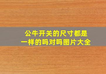 公牛开关的尺寸都是一样的吗对吗图片大全