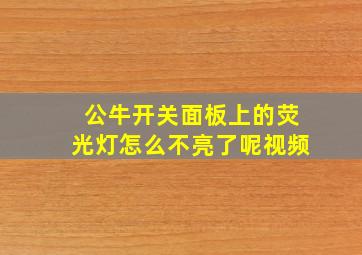 公牛开关面板上的荧光灯怎么不亮了呢视频