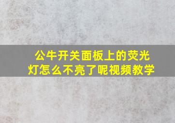 公牛开关面板上的荧光灯怎么不亮了呢视频教学