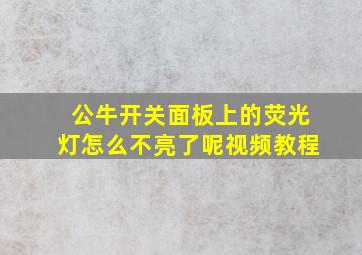 公牛开关面板上的荧光灯怎么不亮了呢视频教程