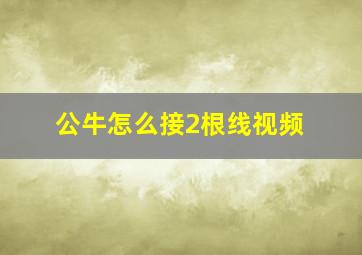 公牛怎么接2根线视频