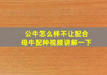 公牛怎么样不让配合母牛配种视频讲解一下