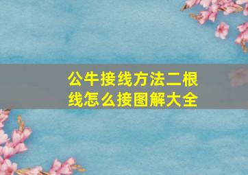 公牛接线方法二根线怎么接图解大全