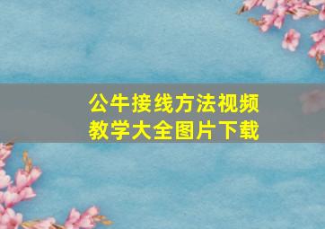 公牛接线方法视频教学大全图片下载