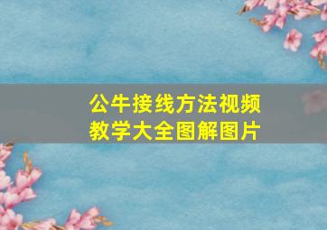 公牛接线方法视频教学大全图解图片