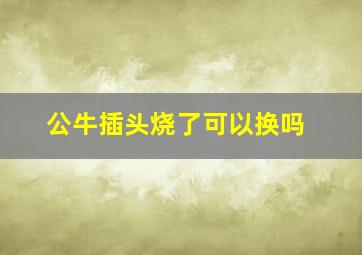 公牛插头烧了可以换吗