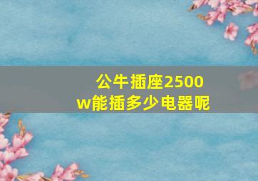 公牛插座2500w能插多少电器呢