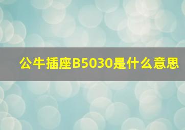 公牛插座B5030是什么意思