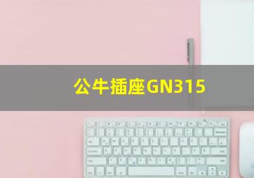 公牛插座GN315