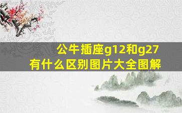 公牛插座g12和g27有什么区别图片大全图解