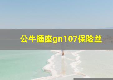 公牛插座gn107保险丝