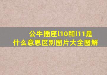 公牛插座l10和l11是什么意思区别图片大全图解