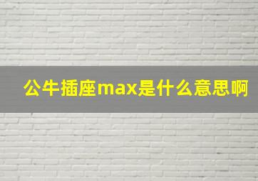 公牛插座max是什么意思啊