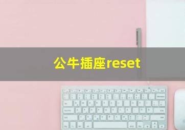 公牛插座reset