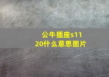 公牛插座s1120什么意思图片