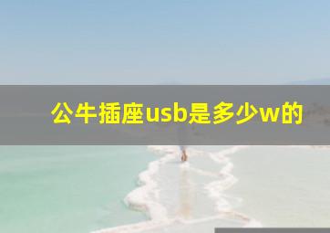 公牛插座usb是多少w的