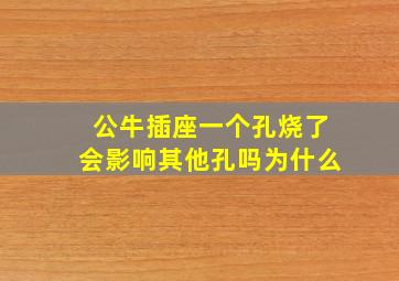 公牛插座一个孔烧了会影响其他孔吗为什么