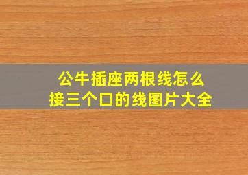 公牛插座两根线怎么接三个口的线图片大全