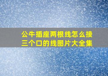 公牛插座两根线怎么接三个口的线图片大全集