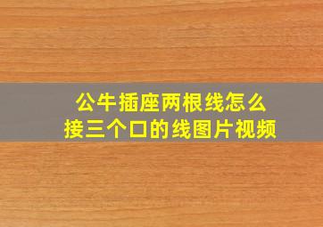 公牛插座两根线怎么接三个口的线图片视频