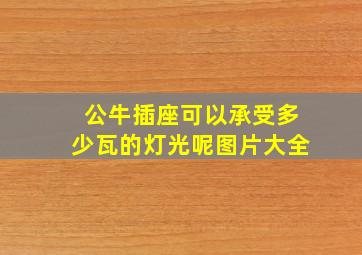 公牛插座可以承受多少瓦的灯光呢图片大全