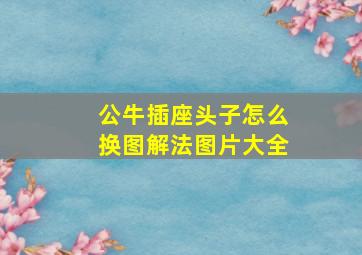 公牛插座头子怎么换图解法图片大全