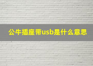 公牛插座带usb是什么意思