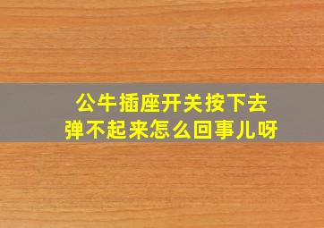 公牛插座开关按下去弹不起来怎么回事儿呀