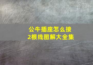 公牛插座怎么接2根线图解大全集