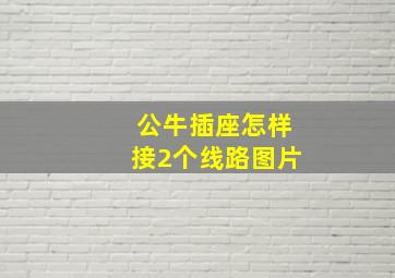 公牛插座怎样接2个线路图片