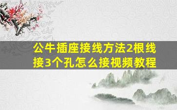 公牛插座接线方法2根线接3个孔怎么接视频教程