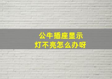 公牛插座显示灯不亮怎么办呀