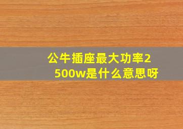 公牛插座最大功率2500w是什么意思呀