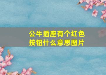 公牛插座有个红色按钮什么意思图片