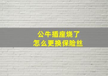 公牛插座烧了怎么更换保险丝