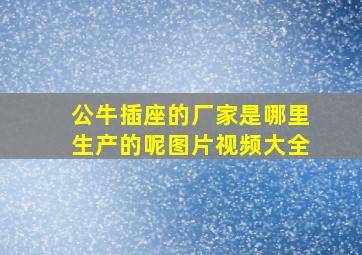 公牛插座的厂家是哪里生产的呢图片视频大全