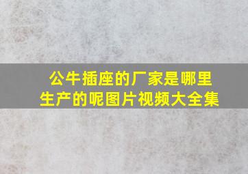 公牛插座的厂家是哪里生产的呢图片视频大全集