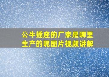 公牛插座的厂家是哪里生产的呢图片视频讲解