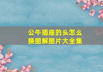 公牛插座的头怎么换图解图片大全集