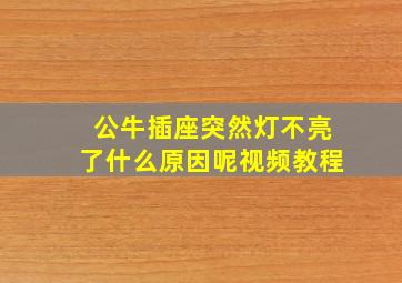 公牛插座突然灯不亮了什么原因呢视频教程